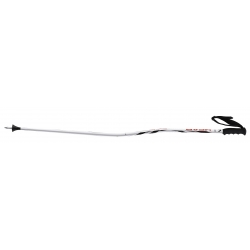 Bete schi WC Super G
